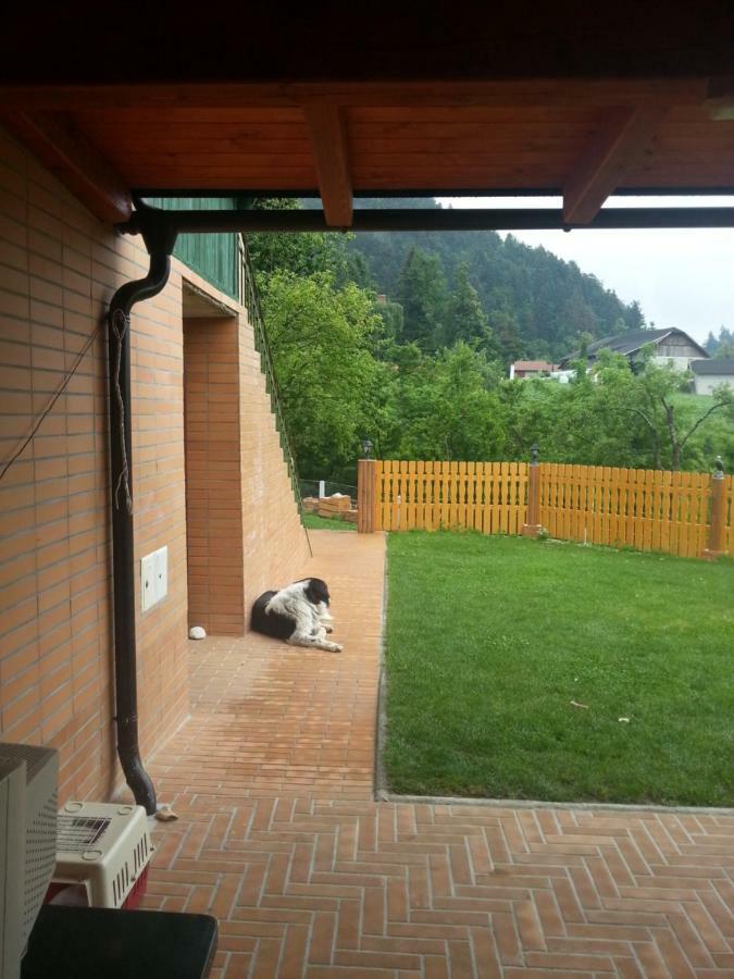 Sostanj Velenje Ravne Sobe Rooms Vrtacnik D O O Ngoại thất bức ảnh
